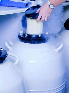 Evaporation Rates Of Ln In Liquid Nitrogen Freezers Dewars